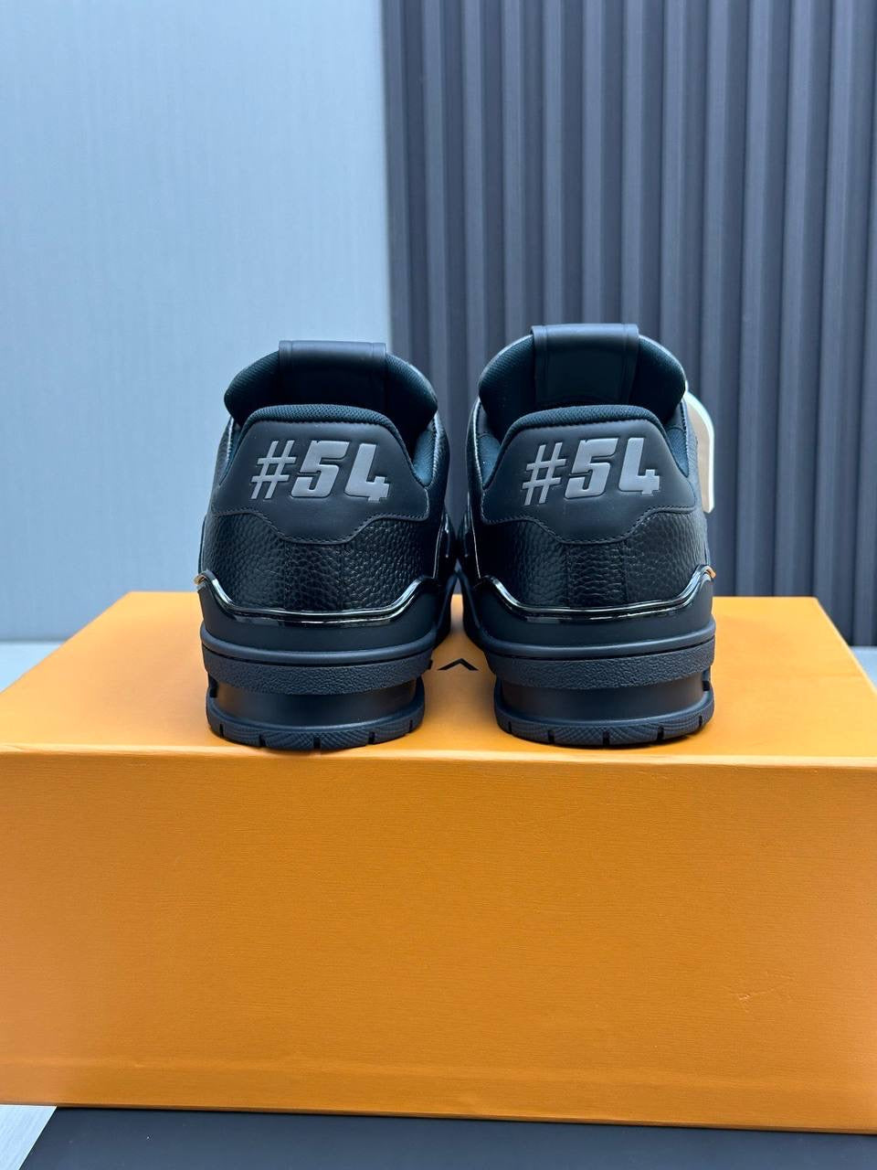 LV trainer