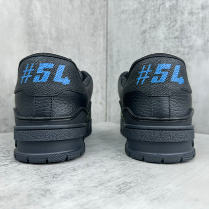 LV trainer