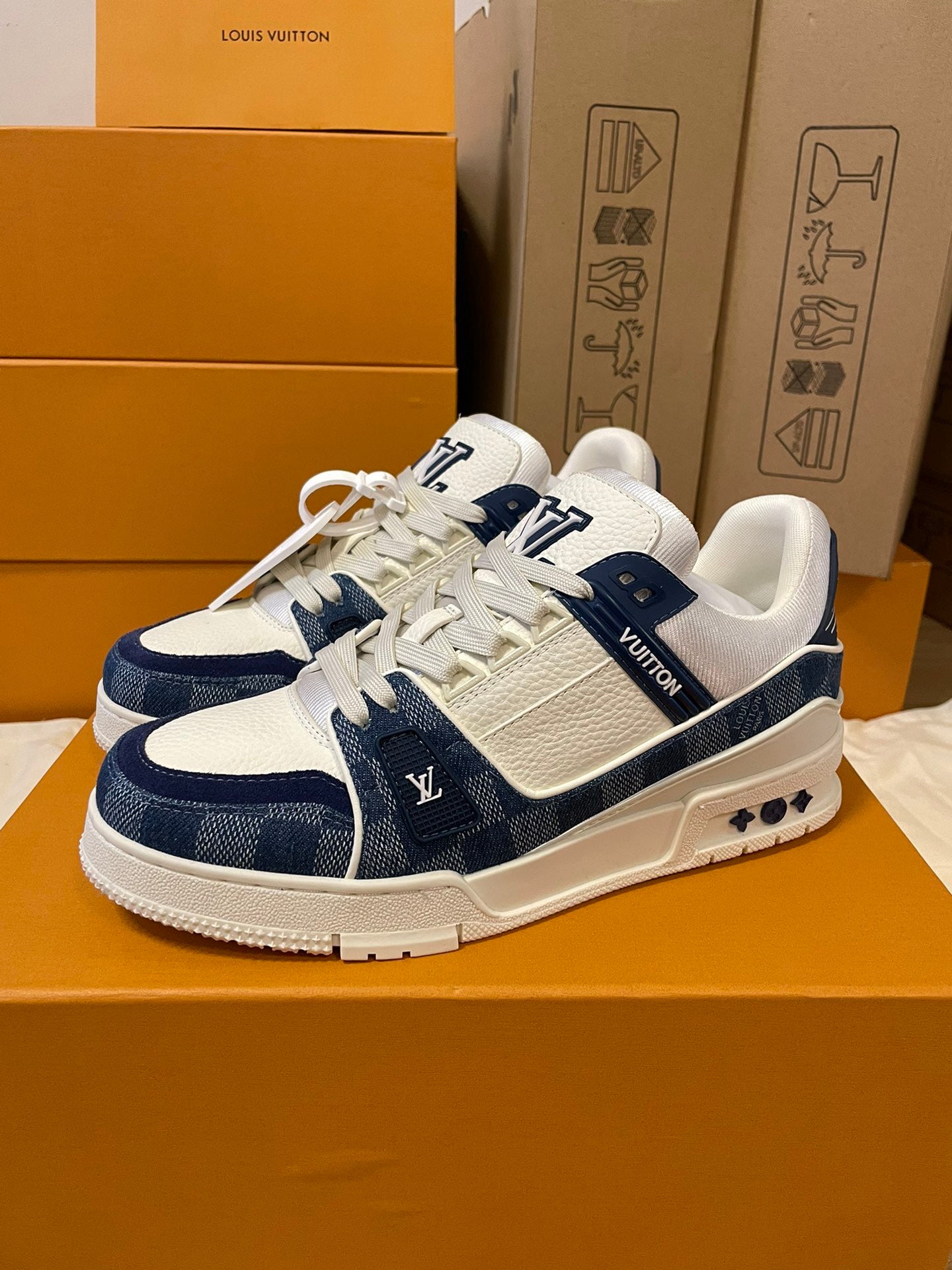 LV trainer