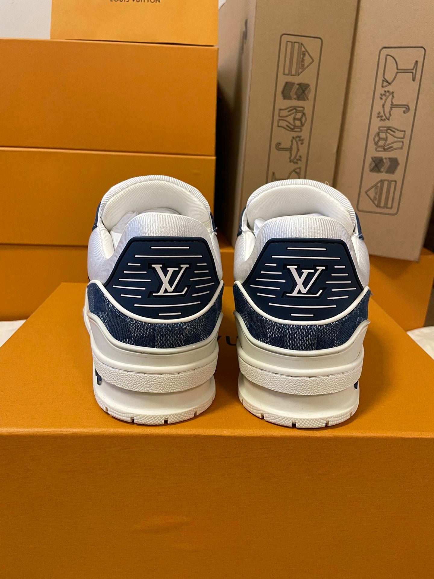 LV trainer