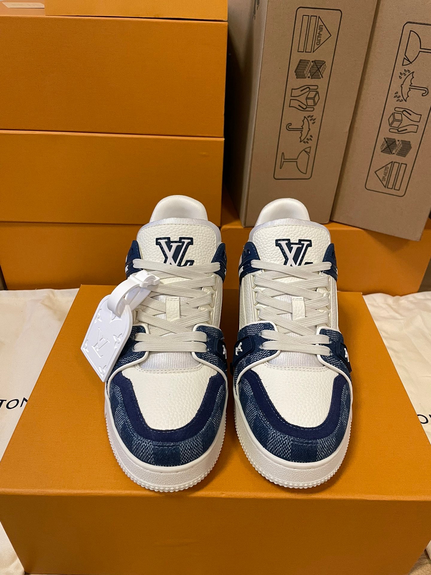 LV trainer