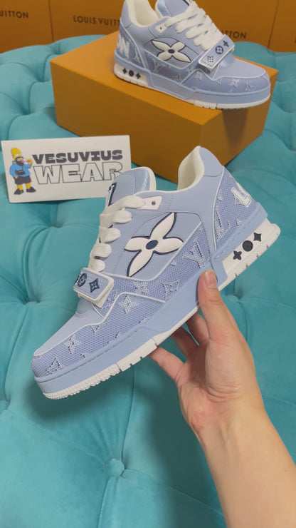 Trainer Strap